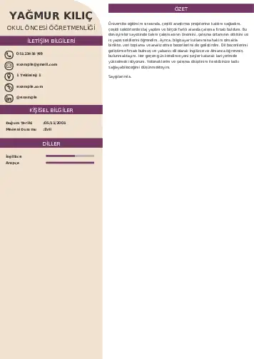 Okul Öncesi Öğretmeni Öğretmenliği Cv Örnekleri cv indir